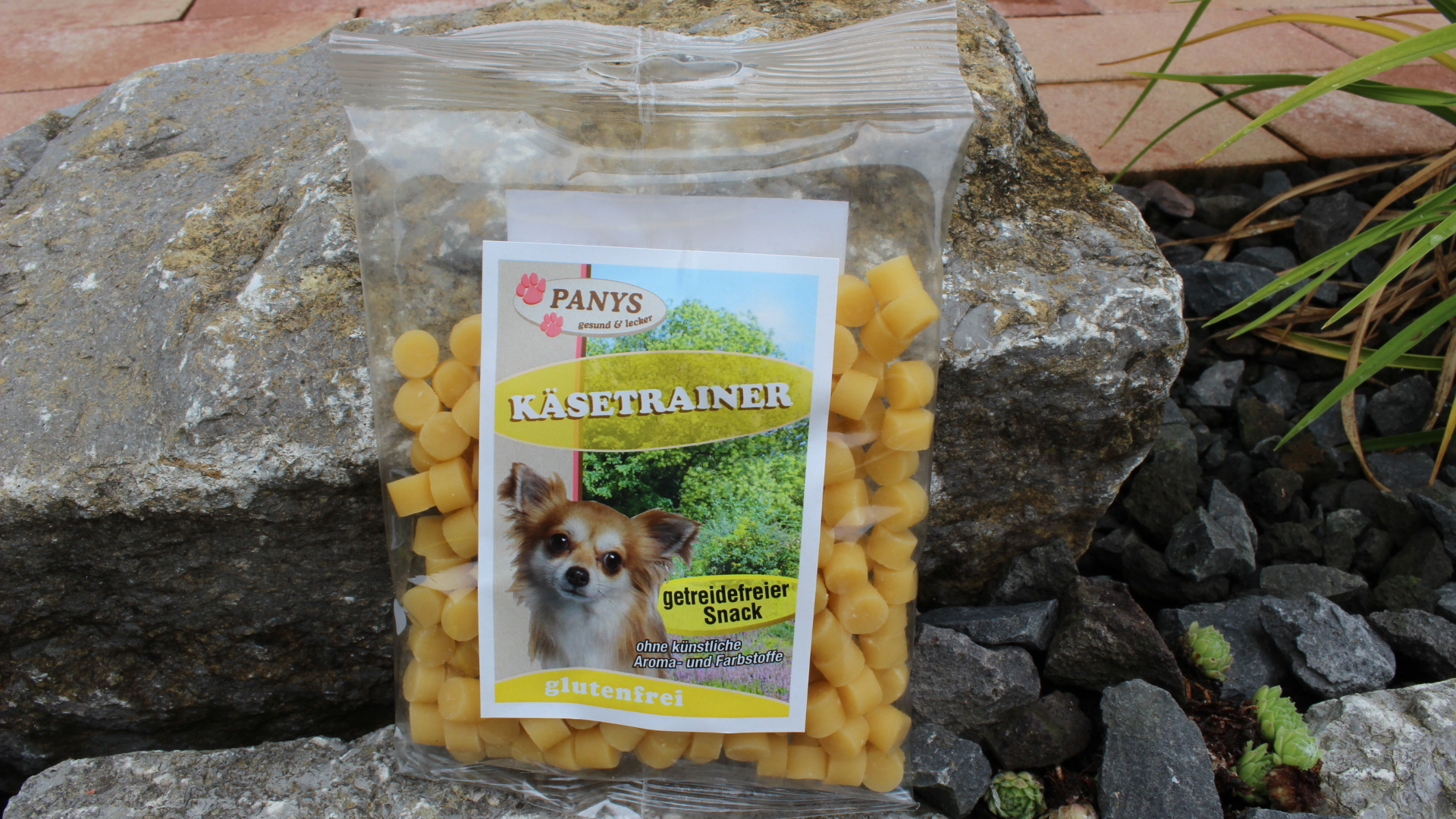 Käsetrainer | 150g & 500g